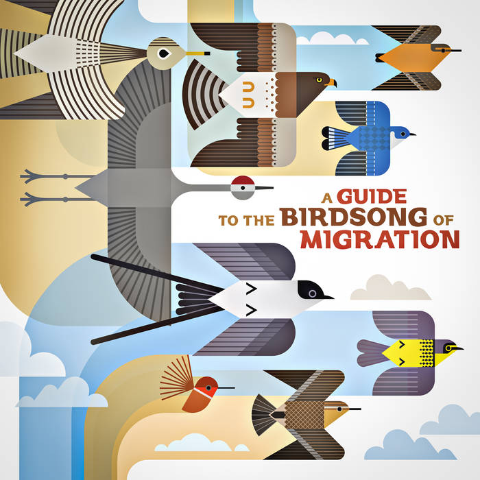 Various Artists - A Guide To The Birdsong Of Migration (Vinyl LP)