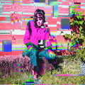 Buffalo Hunt - Ambitions of Ambiguity (Vinyl LP)