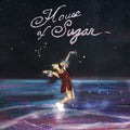 Alex G - House Of Sugar (Vinyl LP)