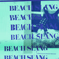 Beach Slang - A Loud Bash of Teenage Feelings (Vinyl LP)