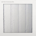 Beach Fossils - Beach Fossils (10th Anniversary Swirled Green Coloured LP & Red Coloured 7"Vinyl) (Vinyl LP)
