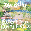 Beths, The - Expert In A Dying Field (Silver Vinyl) (Vinyl LP)