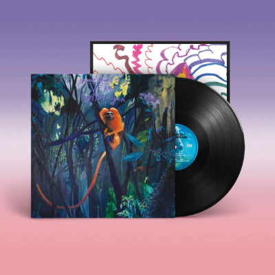 Bonnie 'Prince' Billy - We Are Together Again (Vinyl) (Vinyl LP)