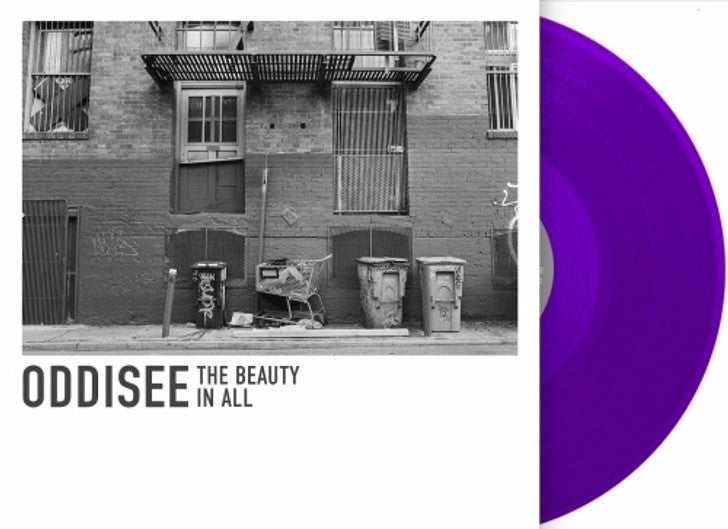 Oddisee - The Beauty In All (Vinyl LP)