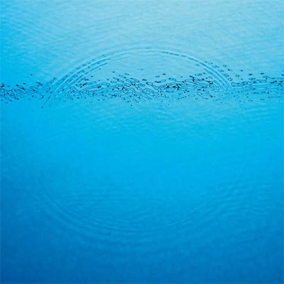 Caribou - Suddenly (Black Vinyl) (Vinyl LP)
