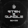Chase & Status - RTRN II JUNGLE (Vinyl) (Vinyl LP)