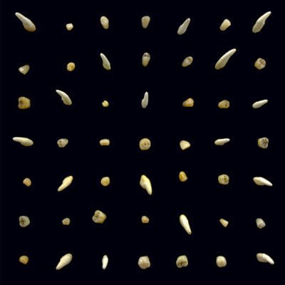 Clipping - Visions Of Bodies Being Burned (2LP Vinyl) (Vinyl LP)