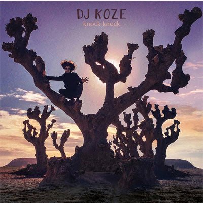 DJ Koze - Knock Knock (Vinyl) (Vinyl LP)