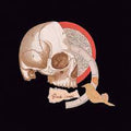 Blood Lemon - Blood Lemon (Vinyl LP)