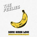 Feelies - Some Kinda Love: Performing The Music Of The Velvet Underground (Vinyl LP)