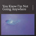Districts - You Know I'm Not Going Anywhere (Vinyl LP)