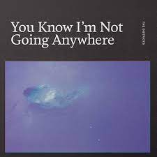 Districts - You Know I'm Not Going Anywhere (Vinyl LP)