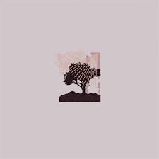 Land Of Talk - Performances (Vinyl LP)