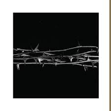 Amenra - De Doorn (Gold Vinyl) (Vinyl LP)