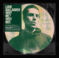 Gallagher, Liam - Why Me? Why Not (Picture Disc) (Vinyl LP)
