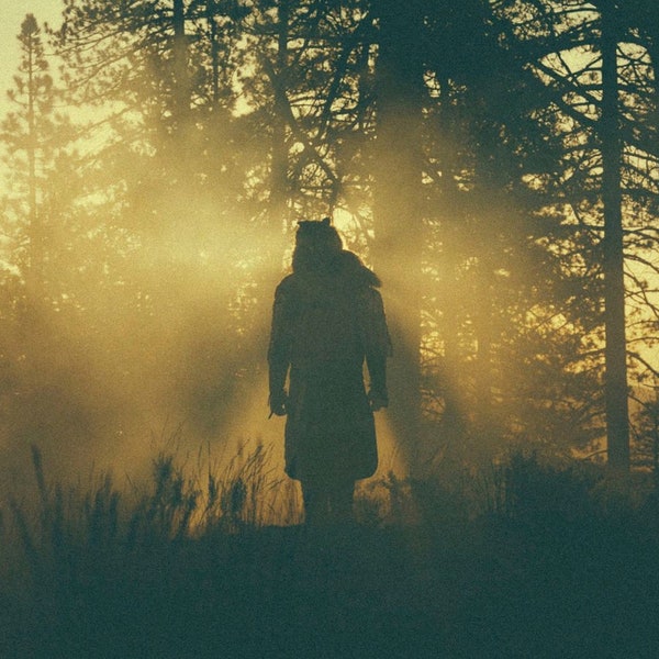 Thundercat - Where the Giants Roam (Vinyl LP)