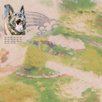 Feeble Little Horse - Girl With Fish (Opaque Pink Coloured Vinyl) (Vinyl LP)