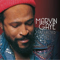 Gaye, Marvin - Collected (2LP Vinyl) (Vinyl LP)