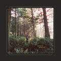 Heynderickx, Haley - Seed of a Seed (Limited Indies Exclusive Coloured Vinyl) (Vinyl LP)