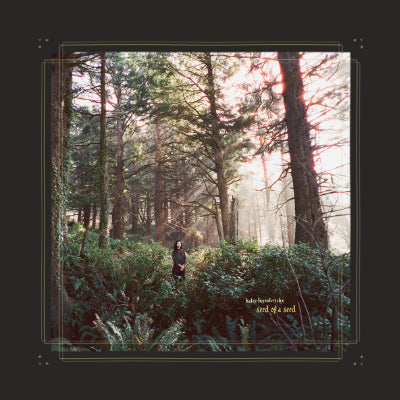 Heynderickx, Haley - Seed of a Seed (Limited Indies Exclusive Coloured Vinyl) (Vinyl LP)