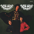Hendrix Experience, Jimi - Are You Experienced (Stereo Version) (2LP Vinyl) (Vinyl LP)