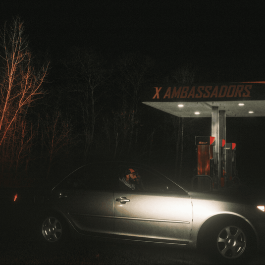 X Ambassadors - Townie (Vinyl LP)