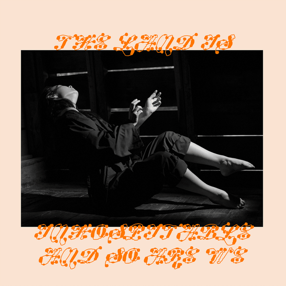 Mitski - The Land is Inhospitable and So Are We (Vinyl LP)