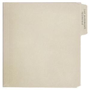 Rex Orange County - Alexander Technique (Vinyl LP)