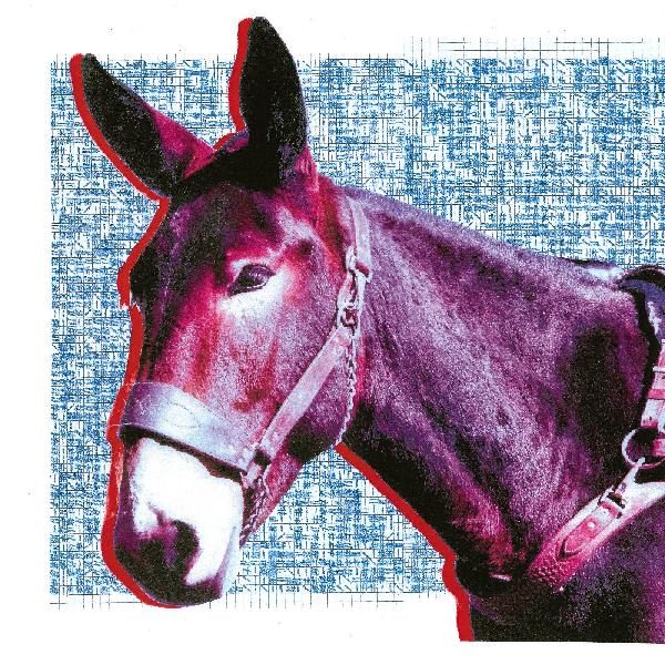 Protomartyr - Ultimate Success Today (Vinyl LP)