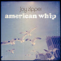 Joy Zipper - American Whip (Reissue Vinyl) (Vinyl LP)