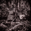 Washington, Kamasi - Harmony of Difference (Vinyl LP)