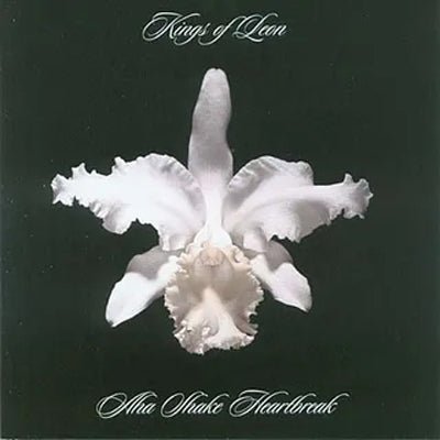 Kings Of Leon - Aha Shake Heartbreak (2LP Vinyl) (Vinyl LP)