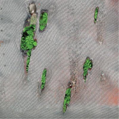 Koreless - Agor (Vinyl) (Vinyl LP)