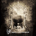 Korn - Take a Look in the Mirror (Vinyl LP)