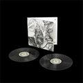 Mike & Tony Seltzer - Pinball I & II (2LP Vinyl) (Vinyl LP)