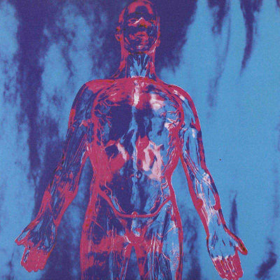 Nirvana - Sliver (Black 7" Vinyl) (Vinyl LP)