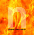 Nine Inch Nails - Broken (Vinyl LP)