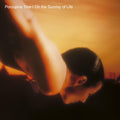 Porcupine Tree - On The Sunday Of Life (Vinyl LP)