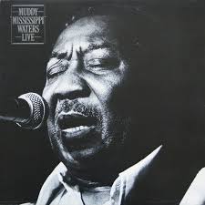 Muddy Waters - Muddy Mississippi Waters Live (Vinyl LP)