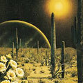 Decker - Born to Wake Up (Vinyl LP)