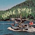 Boyscott - Goosebumps (Vinyl LP)
