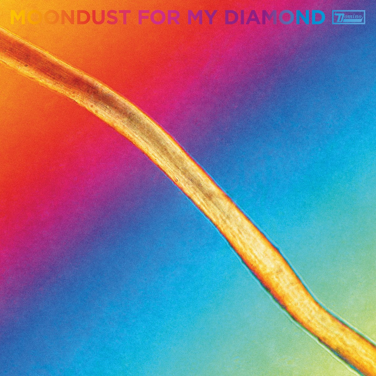 Thorpe, Hayden - Moondust For My Diamond (Vinyl LP)
