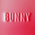 Dear, Matthew - Bunny (Vinyl LP)