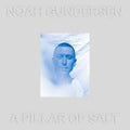 Gunderson, Noah - Pillar Of Salt (White Vinyl) (Vinyl LP)