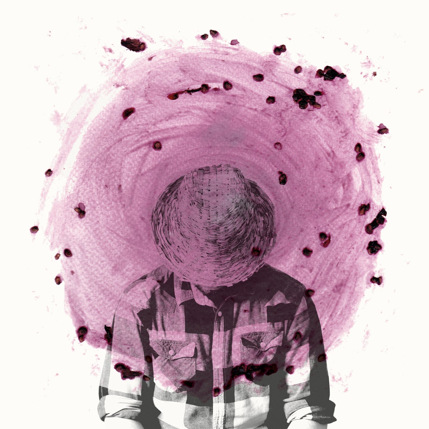 Broderick, Peter - Blackberry (Purple Vinyl) (Vinyl LP)
