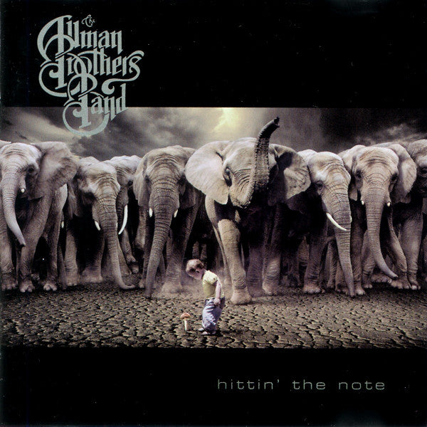 Allman Brothers - Hittin' the Note (Vinyl LP)