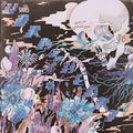 Shins - The Worm's Heart (Vinyl LP)
