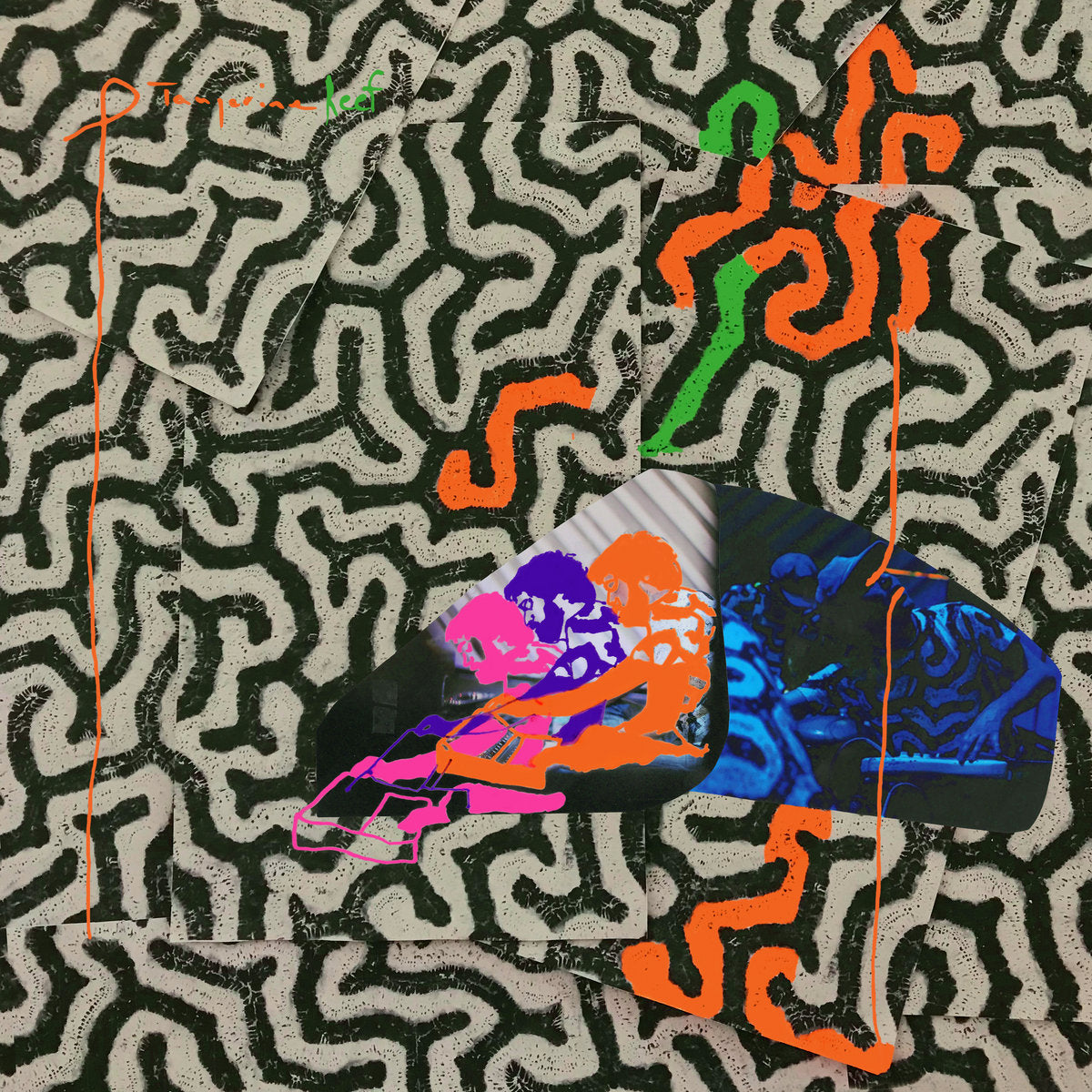 Animal Collective - Tangerine Reef (Vinyl LP)