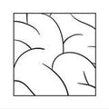 Intellexual - Intellexual (Vinyl LP)