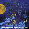 Mountain Goats - Transcendental Youth (Vinyl LP)